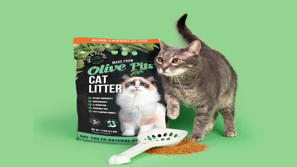 hypoallergenic cat litter