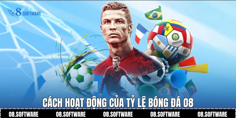 Cách hoạt động của tỷ lệ bóng đá O8