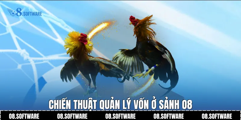 Chiến thuật quản lý vốn ở sảnh O8