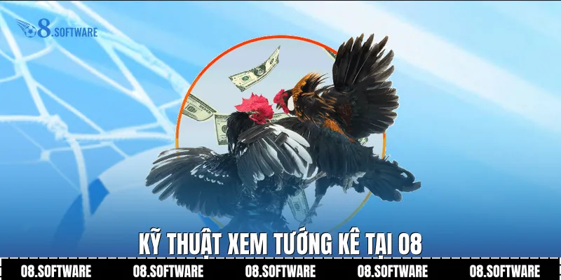 Kỹ thuật xem tướng kê tại O8