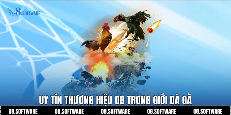 Uy tín thương hiệu O8 trong giới đá gà